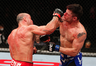 Researchers Say Brain Trauma Occurs in 30% of MMA Fights