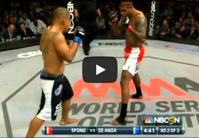 FREE FIGHT VIDEO | WSOF 4: Tyrone Spong vs. Angel DeAnda
