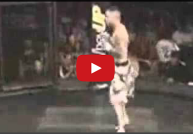 FREE FIGHT VIDEO | Regional Fight Ends With Brutal Head Kick K.O.