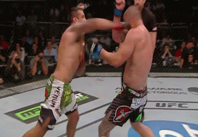 .gif | UFC on FOX 11: Werdum vs. Browne Highlights
