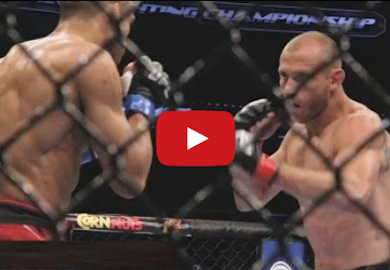 VIDEO | Ultimate Insider: UFC on FOX 11 Insider Look