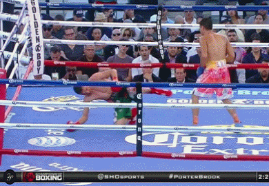 .GIF | Nasty Boxing TKO