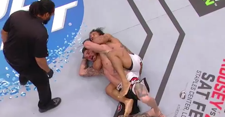 Bendo Submits Thatch
