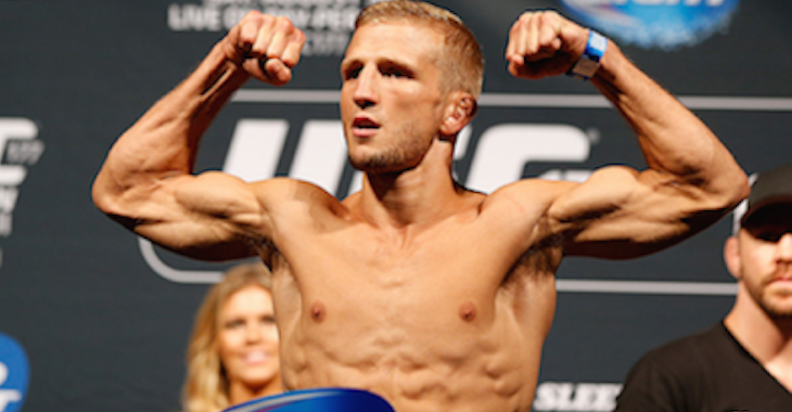 Dillashaw.png