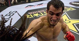 Gegard Mousasi MMA