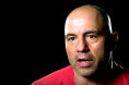 Joe Rogan