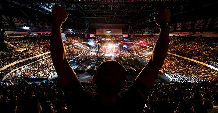 UFC fan crowd arena stadium