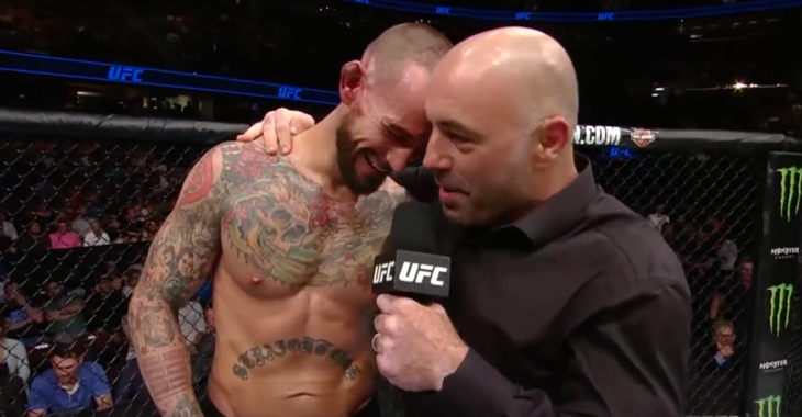 CM Punk ufc 203 fight