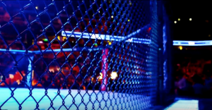 UFC Octagon