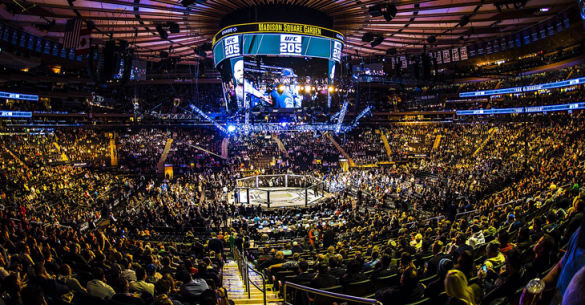 BKF The Next Billion Dollar Franchise BJPenn