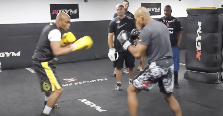 Anderson Silva Ronaldo Jacare Souza 208