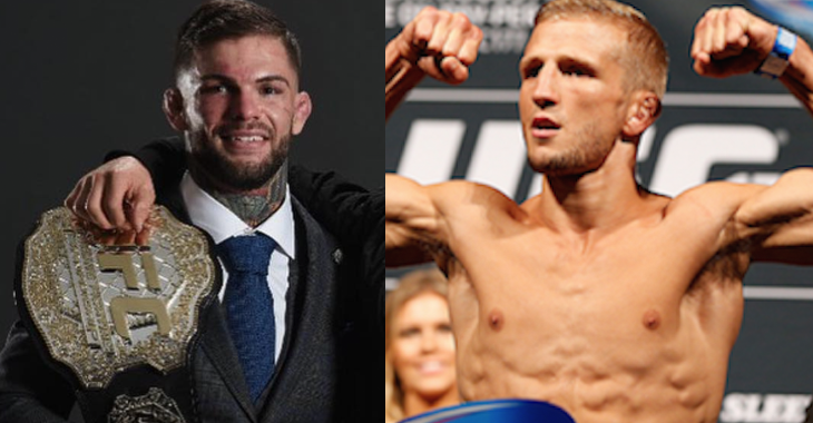 Cody Garbrandt TJ Dillashaw UFC 213