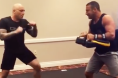 Joe Rogan training