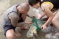 Brandon Vera saves sea turtle