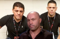 Nick Diaz Nate Diaz Joe Rogan