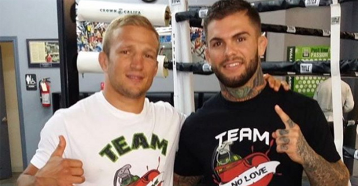 TJ Dillashaw Cody Garbrandt