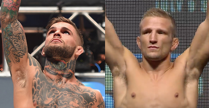 Cody Garbrandt TJ Dillashaw