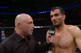 Gegard Mousasi