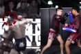 Evolve MMA breaks down Muay Thai KO