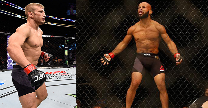 TJ Dillashaw Demetrious Johnson