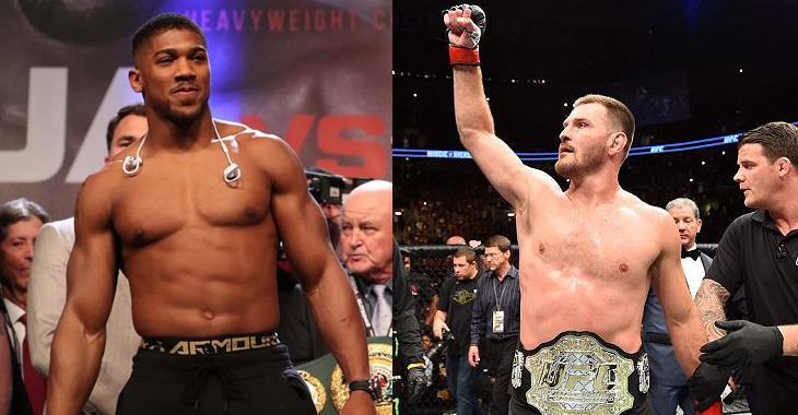 Anthony Joshua Stipe Miocic