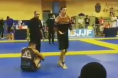 BJJ kneebar