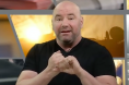 Dana White