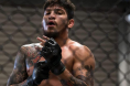 Dillon Danis