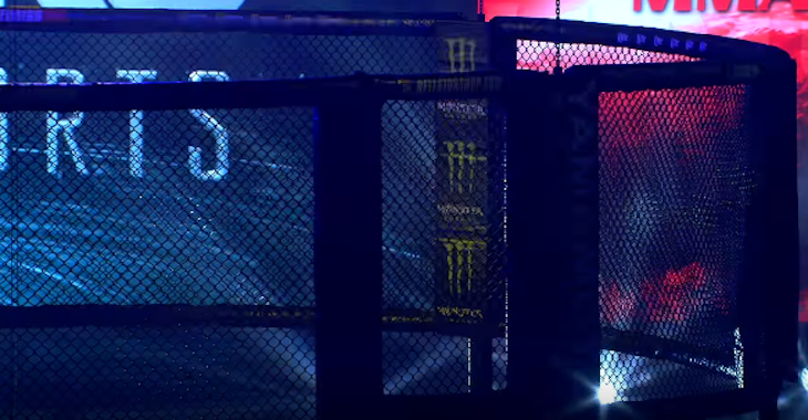 Bellator 183 flying cage