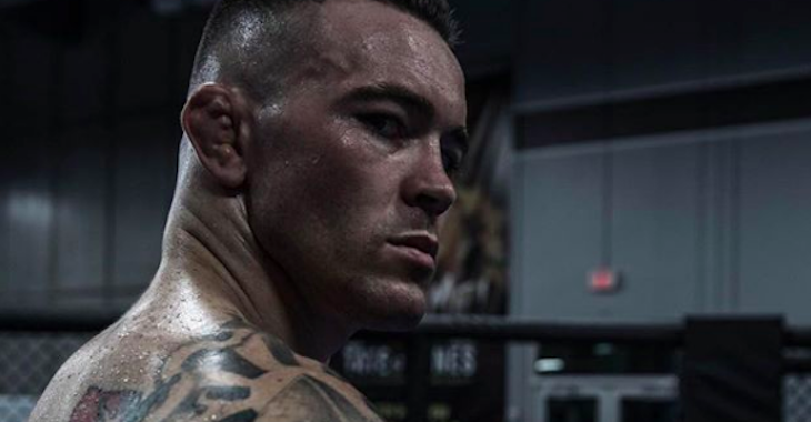 Colby Covington