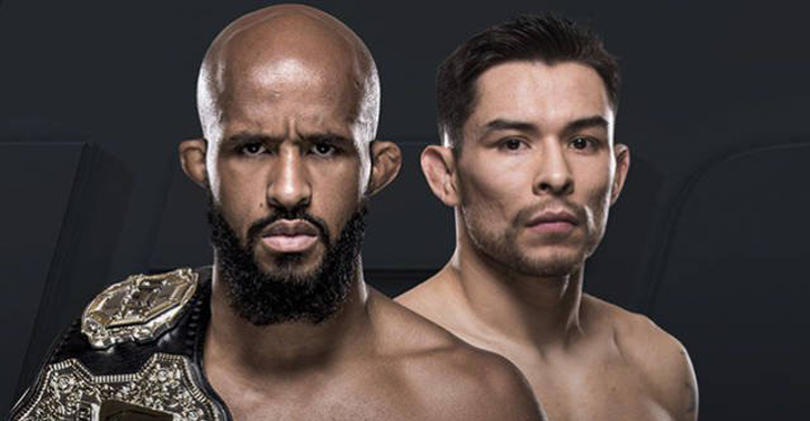 Demetrious Johnson Ray Borg