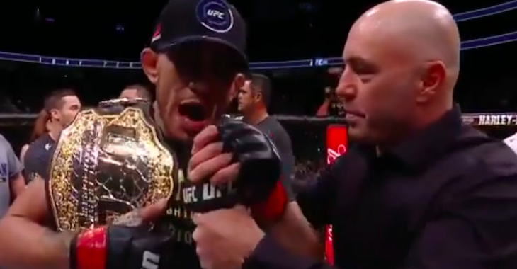 Tony Ferguson