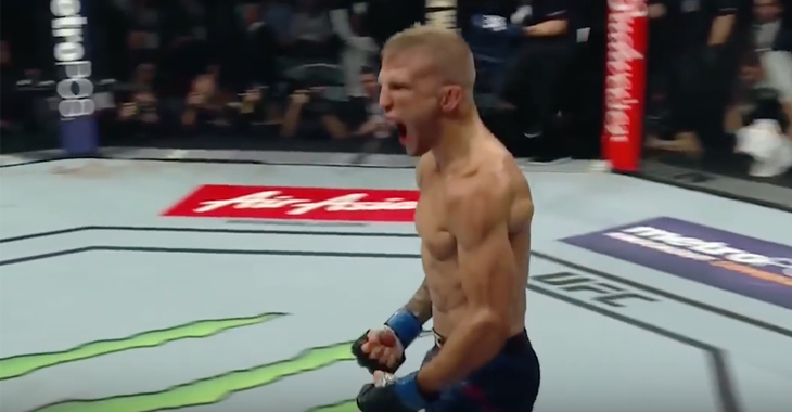 TJ Dillashaw wins at UFC 217