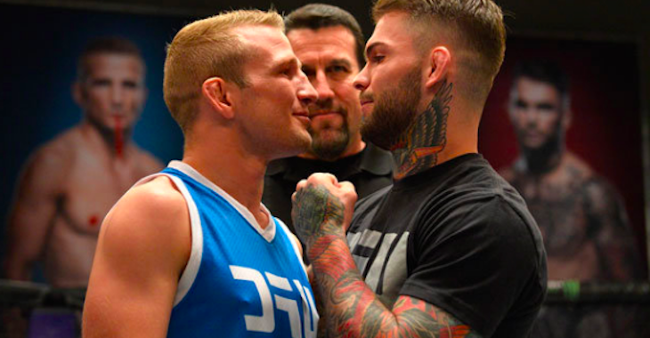 TJ Dillashaw, Cody Garbrandt