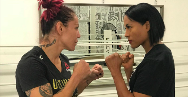 Cris Cyborg, Cynthia Braekhus