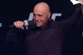 Joe Rogan