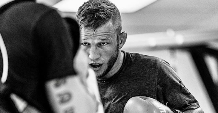 TJ Dillashaw