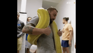 Alexander-Volkanovski