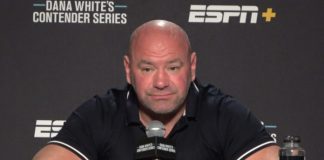 Dana White, The UFC