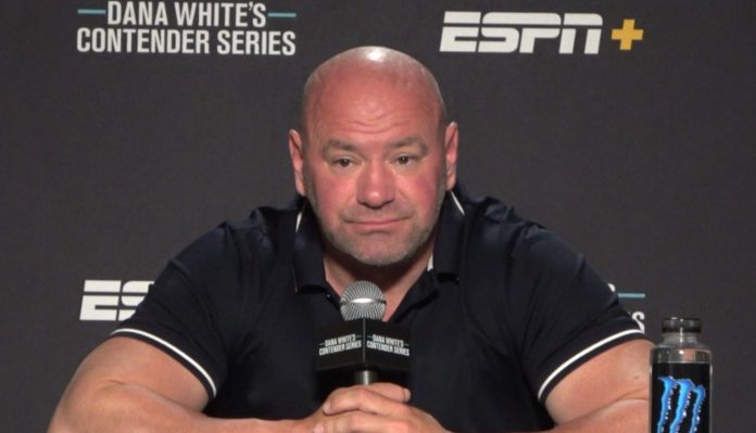 Dana White, The UFC