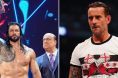 Roman Reigns, CM Punk, UFC, WWE, AEW