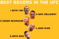 Conor McGregor, Petr Yan, Best boxer in UFC,