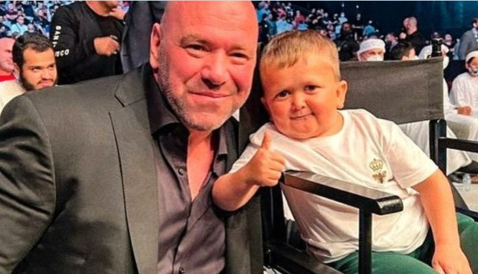 Dana White, Hasbulla, UFC, UFC 267