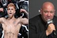 Jake Paul, Dana White, Tyron Woodley, UFC, Boxing