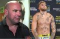 Dana White, Jake Paul, UFC, Boxing