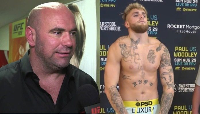 Dana White, Jake Paul, UFC, Boxing