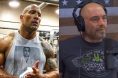Dwayne 'The Rock' Johnson, Joe Rogan, UFC