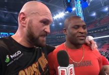 Tyson Fury, Francis Ngannou, Boxing, UFC