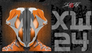 Shu-Ki Fita, UFC, XW.24, NFT