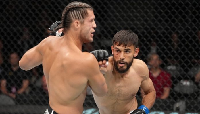 Yair Rodriguez, Brian Ortega